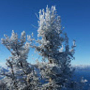 Meet your Posher, Ashilta